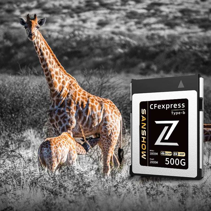 SanshowSD and Qinghai Wildlife Photography Association jointly launched the Z series Master card: inject more possibilities into photography